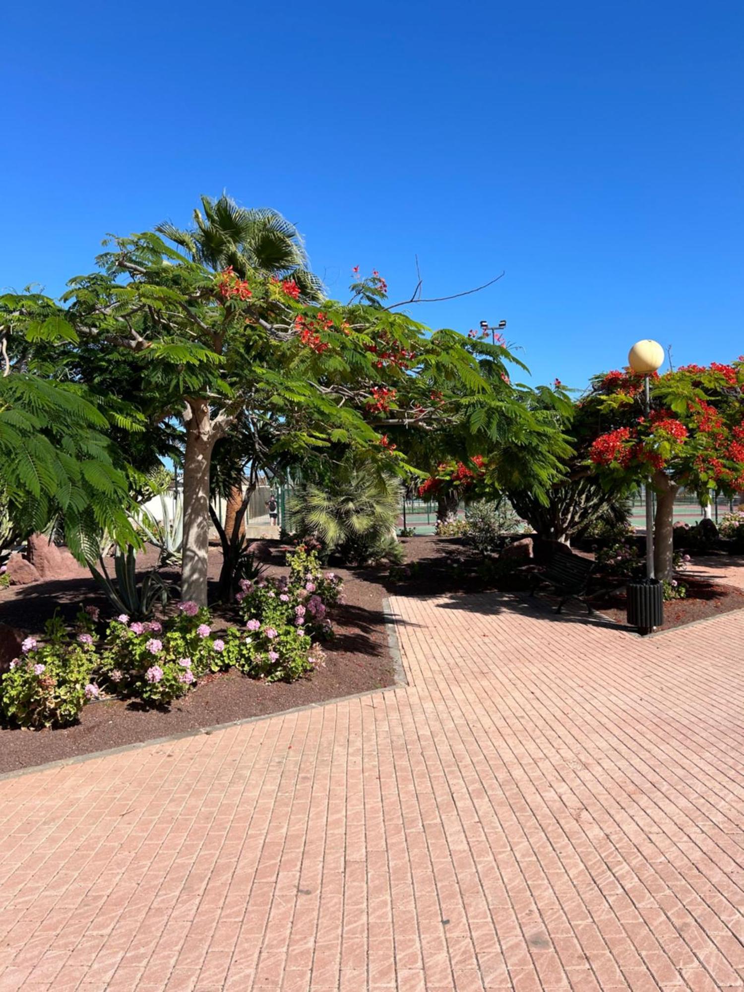 Apartamento Honey Bunch Caleta de Fuste Exterior foto